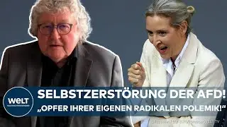 ZUKUNFT DER AFD: 