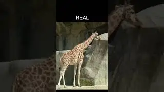 Fake photos that went viral.#shorts