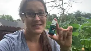 Peppermint Oil Experiment, Garden Review, and Ninja Spiderweb Moves