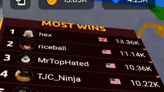 Roblox Duel Warriors Bullying # 1,2,3, and 4 on the leaderboard 
