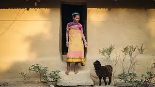 Do 
