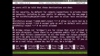 Развертывание сервера Linux &mdash; запуск ретранслятора Tor