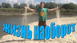 Шоу 