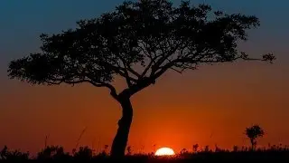 Photo Slideshow of Madagascars amazing nature, landscapes and people