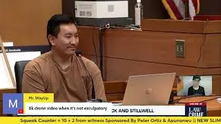 Selective investigation? Testimony on BP surveillance footage relating to Shymel Drinks | YSL Trial