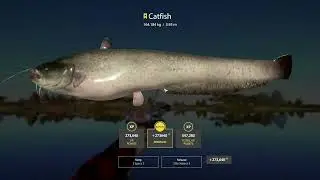 Russian Fishing 4 Trophy Catfish 164kg