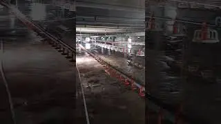 Washing of a Poultry Farm #poultry #foryou #viral #reels #cleaning #preparation #new