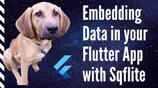 Embedding Data in your Flutter App with Sqflite