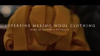 Smitten Merino