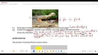 Natural Sciences Grade 8 March Exam 2025 Term 1