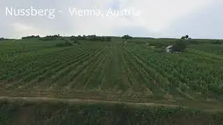 Nussberg Vineyards Vienna