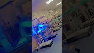 #Nicu#baby#viral#video#