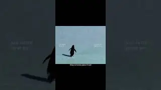 The lonely deranged penguin is a perguin from WernerHerzog's 2007 documentary 