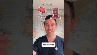 Neurotoxin treatments
