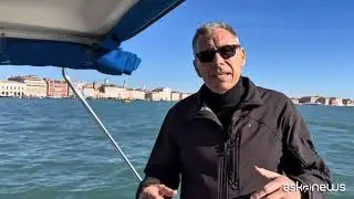 Il delfino a Venezia, gli esperti: «Animale selvatico, serve essere rispettosi»