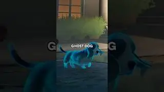 Deadpool And Doctor Strange Talk About Bats The Dog!