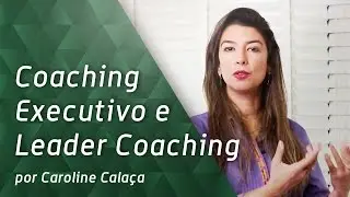 Coaching Empresarial - A diferen&ccedil;a entre Coaching Executivo e Leader Coaching