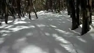 Lake Mountain: X-Country Ski