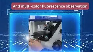 Smart Inverted Fluorescence Microscope MIX60-F Launch