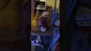 hice otro por que el otro no se veia bien😁😁