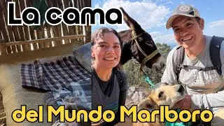 😆🛏️ ¡RADIOMOJARRA FELIZ! GRIS LLEGARÁ A ESTRENAR CAMA EN EL MUNDO MARLBORO 😱🎉#Radiomojarra 