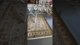 Wool Silk rug urine odor clean