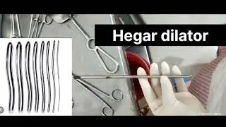Hegar dilator
