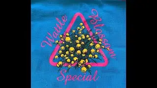 Perth - Wattle Blossom Special 1998 - ALL Demos