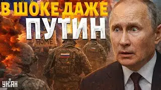 Путин в УЖАСЕ! Европа ОТЛУПИЛА россиян: всех ПОГНАЛИ домой. ПОЗОРНОЕ возвращение в родную гавань