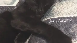Jude's Labyrinth