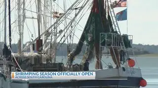 South Carolina's shrimping season is fully open