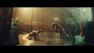 ADITYA | RIGGING PROJECT REEL
