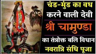 चामुंडा तंत्रोक्त बलि पूजन विधान।संधि पूजा।#navratri2025 #durgapuja2025  #sandhipuja