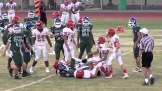 Green Valley Gators