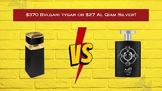 Bvlgari Tygar vs Al Qiam Silver - Should you save up to shell out $370??
