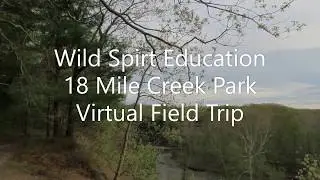 Wild Spirit 18 Mile Creek Virtual Field Trip