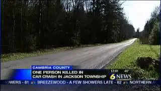 One dead after car crashes into tree