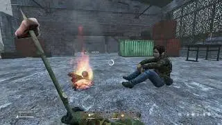 разговор с белкой