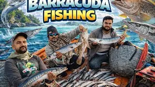 Barracuda Fishing | چرنا کے سمندر میں کالا کن چاروں طرف چھایا ہوا ہے