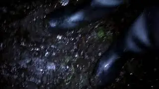 Dunlop Wellies In Muddy Park At Night