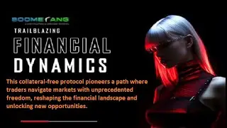 BOOMERANG ZERO LOSS TRADING PLATFORM