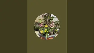 Thanh hoa lan lai châu 0969444668
