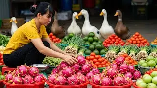 TIMELAPSE -- 226 Days Harvesting Many Dragon Fruit by Stone Forest Duck Go To Sell | Relax Discovery