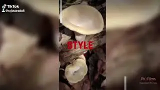 rajuprank funny videos 944