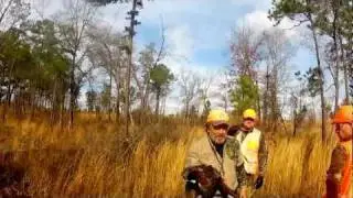 Upland Bird Hunt at Anderson Creek Hunting Preserve