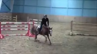 Imperial Horse Club