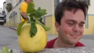 BIG STEP  -  LEMON RIDE