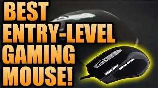 BEST ENTRY LEVEL GAMING MOUSE