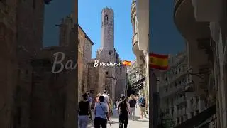 Barcelona 🇪🇸 | #barcelona #barcelonacity #spain #travel #tourism #shorts #ytshorts