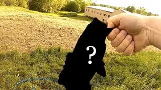 Catching Spawning Bass with YUM Dingers